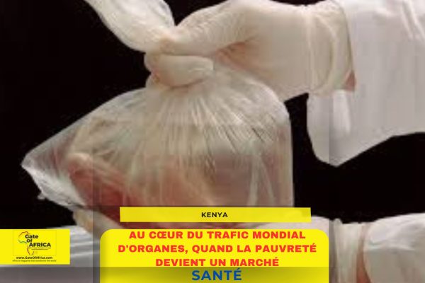 🩺 Kenya : au cœur du trafic mondial d’organes, quand la pauvreté devient un marché